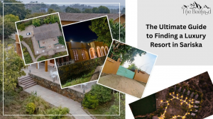 The Ultimate Guide to Finding a Luxury Resort in Sariska