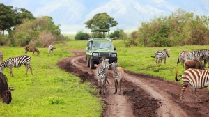 What to Expect from a Mid-Range Safari in Tanzania