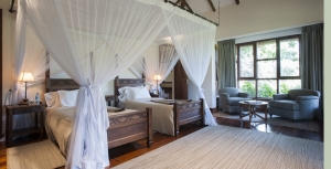 A Guide to Your First African Safari