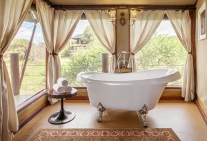 A Complete Guide to a Lion Safari in Tanzania