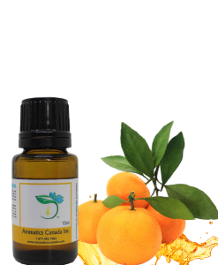 Exploring Bitter Orange Essential Oil: Uses and Advantages