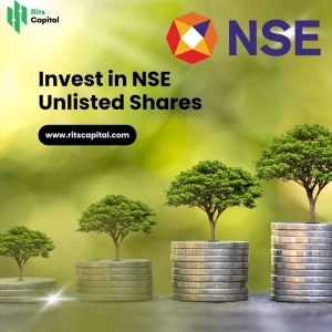 Invest in NSE Unlisted Shares – A Strong Market Leader