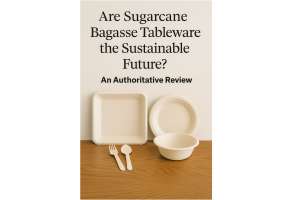 Are Sugarcane Bagasse Tableware the Sustainable Future? An Authoritative Review