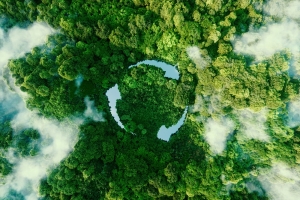 Transforming Waste into Purpose: How Seraphim Plastics Drives Sustainable Industry