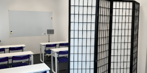 Mastering O-Level Chemistry with IONX Labs: Unlock the Secret to Academic Success
