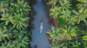 How Does a Kerala Trip for 6 Days Help You Connect with Nature and Culture?