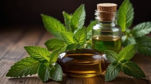 Peppermint Oil Price 2025: Chart History, Index Records & Outlook Predictions