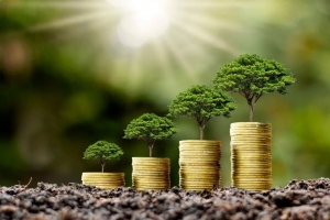 Proven Ways to Invest in Your Small Business for Long-Term Success