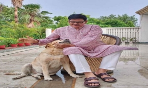 Celebrating Canine Companionship with India’s Leading Dog Magazine