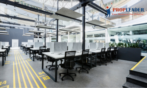 Co-working Space in Noida Sector 63: Flexibility Meets Connectivity
