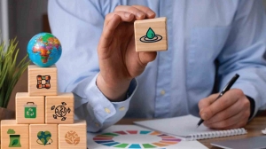 Leadership in Times of the Impact of Regulatory Differences on ESG Strategies