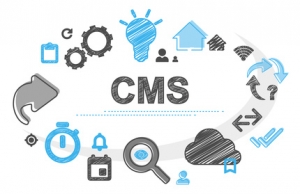 Why Content Management Systems Are Essential for Modern Websites