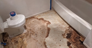 DIY vs. Professional Storm-Related Bathroom Damage Repairs in Malibu