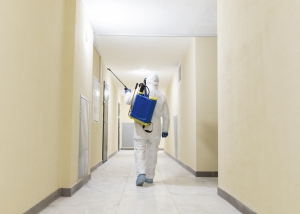 Top Pest Control Services: Keep Your Home Pest-Free