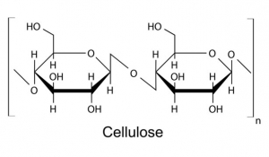 Cellulose Market Global Share, Size, Trends & Opportunities 2025–2032