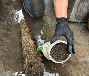 Why Do Blocked Stormwater Drains Cause Serious Problems for Homeowners?