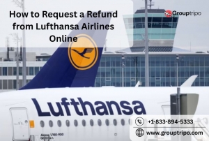 How to Request a Refund from Lufthansa Airlines Online?