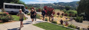 What to Know About Wine Tours in Sonoma