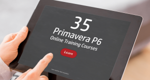 Streamlining Project Execution with Primavera P6