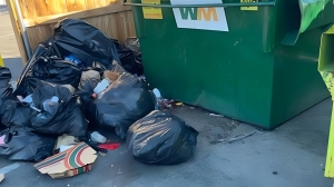 Is there a company in Aurora that offers Same-Day Junk Cleanout?