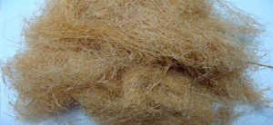 Bamboo Fiber Manufacturing Plant Report 2025: Machinery, Setup Cost and Market Opportunities