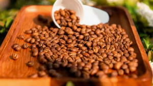 10 Interesting Facts About Peaberry Coffee You Didn’t Know