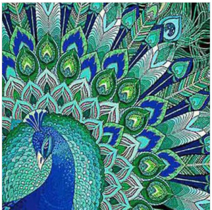 How One Can Select the Correct Size for a Diamond Painting Bird Project?