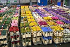 Premium Bouquet Flower Near Me by expert professionals at Flowers Mart