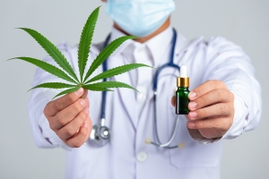 Why Edibles Are Gaining Popularity in Urban Cannabis Culture