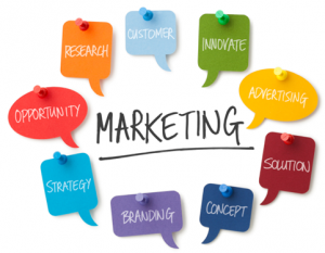 Mastering Strategic Management Assignments at Canterbury Christ Church University