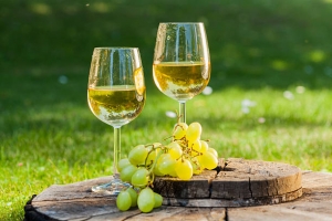 Detailed Report on White Wine Manufacturing Plant Setup, Layout and Raw Material Requirements