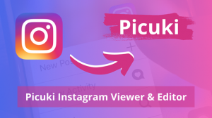 What Makes Picuki Instagram Viewer Different from Other Tools