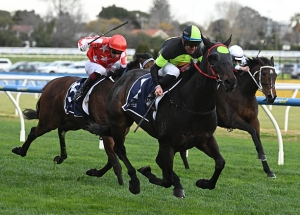 Spring Racing Carnival 2025: Complete Guide, Full Calendar, and Key Highlights