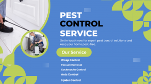 Why Do Pests Keep Coming Back After Treatment?