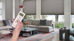 How Motorised Blinds Turn Out To Be A Splendid Choice?