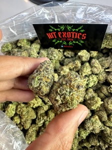 Kup Indica Cannabis online – Naturalny relaks i najlepsze odmiany konopi