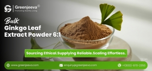 Ginkgo Leaf Extract Powder 6:1: A Buyer’s Guide to Sourcing Clean-Label Herbal Extracts in Bulk