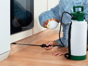 Winning the Battle Against Ants: Your Guide to Effective Ant Control in Holly RidgeNC