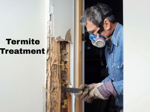 The Ultimate Guide to Termite Treatment in Holly Ridge NC: Protecting Your Home Before It’s Too Late