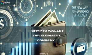 Exploring Crypto Wallet Development: What Users Need to Know
