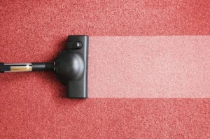 The Hidden Risks: 5 Problems That DIY Carpet Cleaning Can Cause