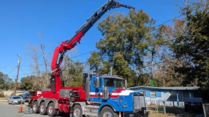 Jacksonville Fl Tree Removal Service