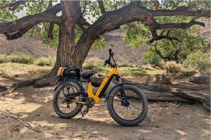 Magicycle Deer Ebike SUV Versus Biktrix Juggernaut Hub Duo