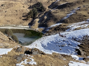 Flora and Fauna on the Brahmatal Trek: Nature You’ll Spot Along the Trail