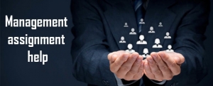 Assignment Helper on the Role of Management in Today’s Business World