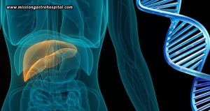Genetics And Liver Disease