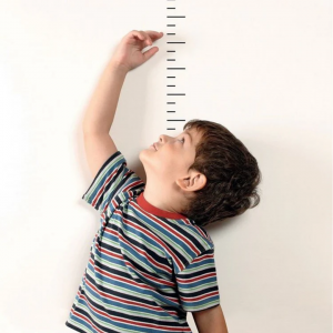 Best Protein for Height Growth