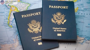 USA Passport Application: A Guide To Securing A Passport Despite A Suspended License