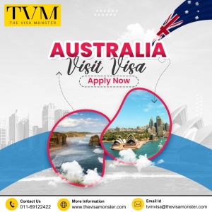Best B2B Visa Booking for Travel Agents Made Simple with The Visa Monster