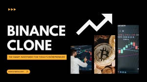 Investing in a Binance Clone: What Makes It So Profitable?